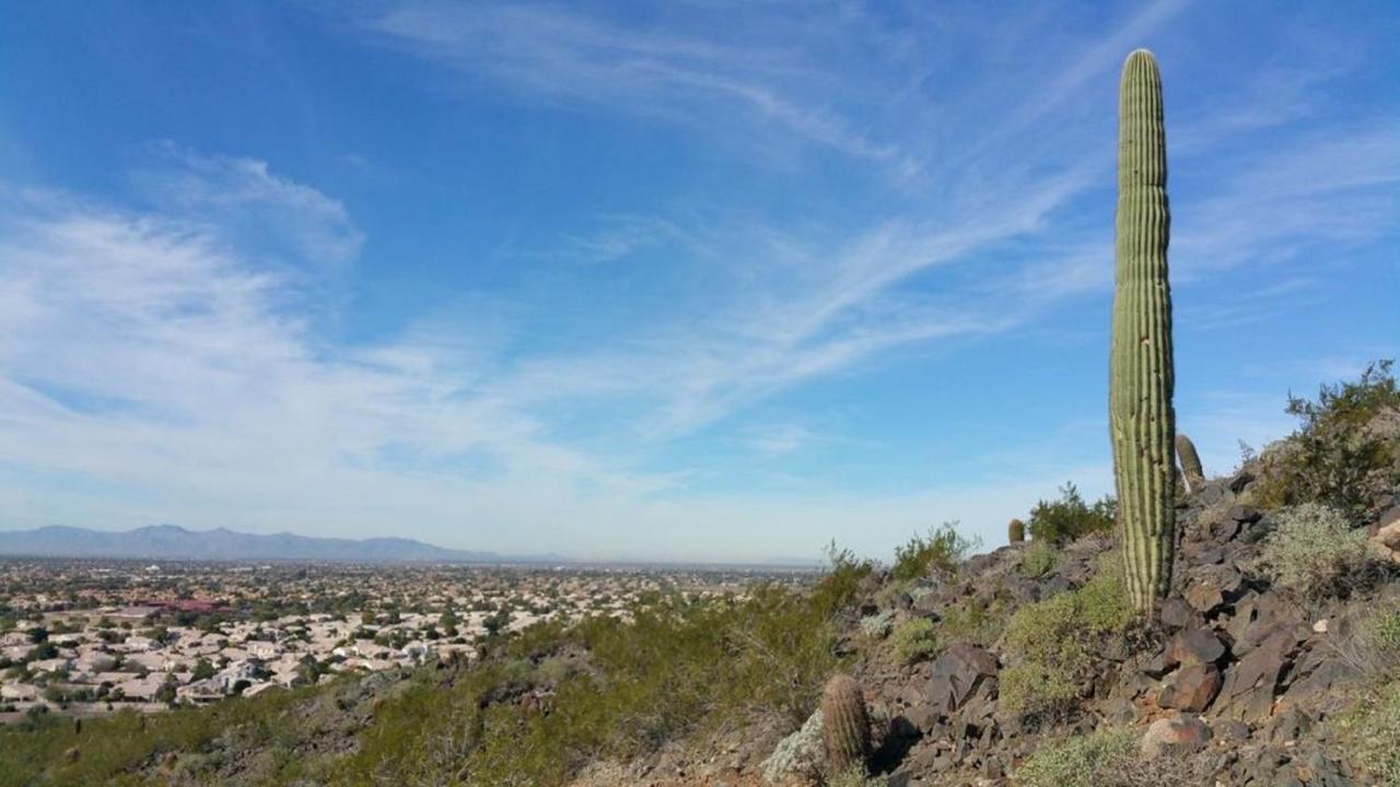 Arizona Lakeside Glendale