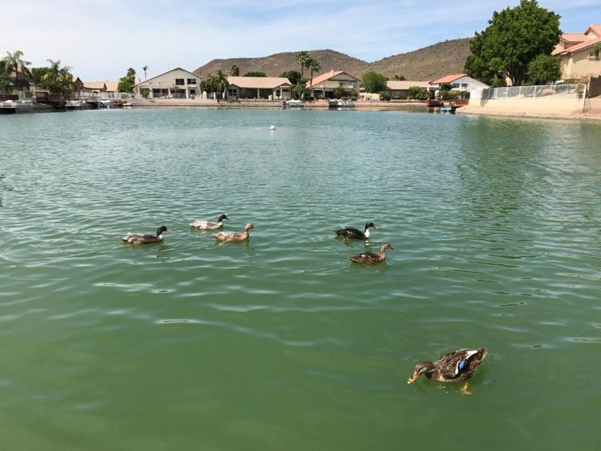 Hébergement de vacances Arizona Lakeside *